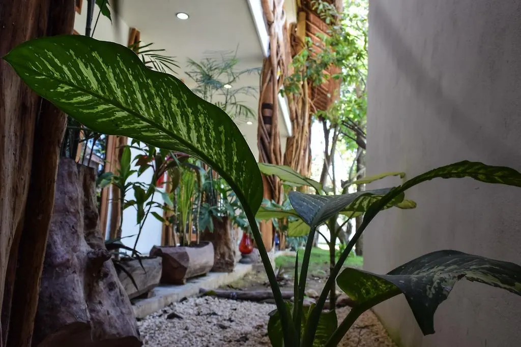Corazon De Jade Hotel Tulum